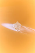 LA PUCHI RING