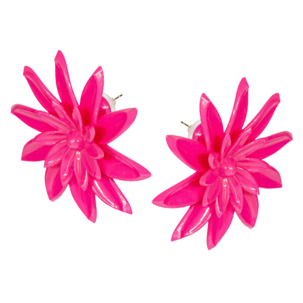 BLOOM Fuchsia Divine