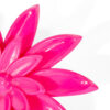 BLOOM Fuchsia Divine - Imagen 2