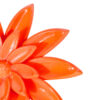 BLOOM Orange - Imagen 2